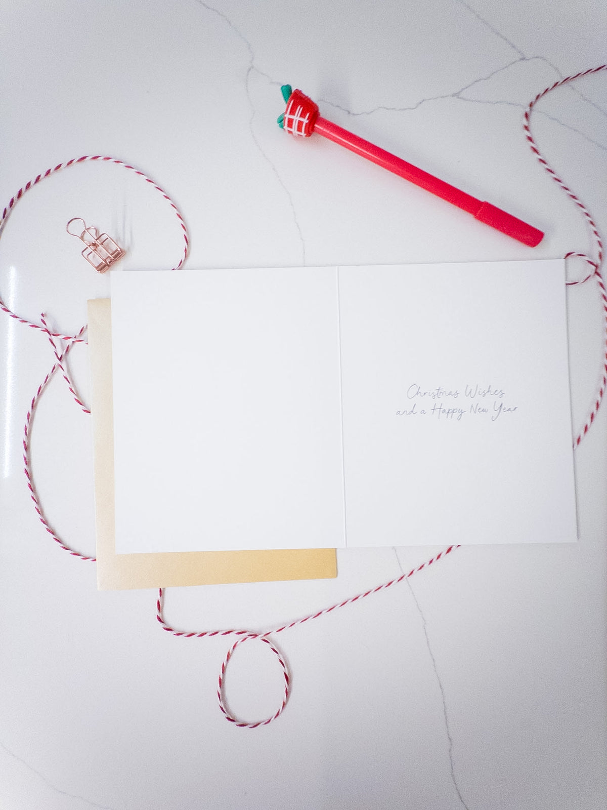 Κάρτα “Bursting Berry Ribbon Christmas”