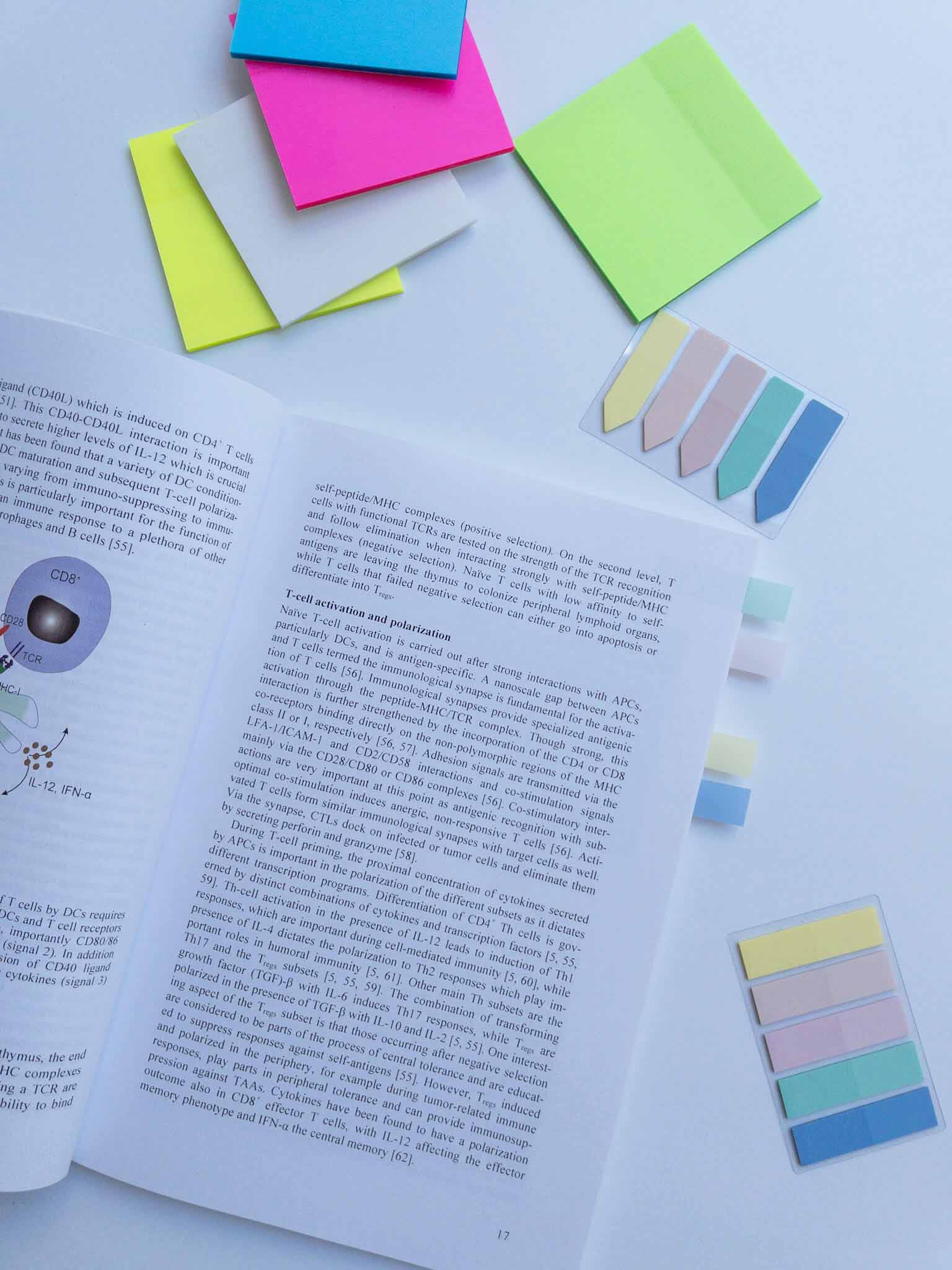 Σελιδοδείκτες αυτοκόλλητοι 5 χρωμάτων