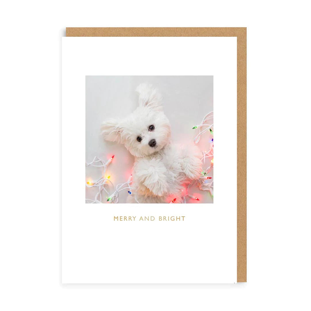 Χριστουγεννιάτικη κάρτα Christmas puppy