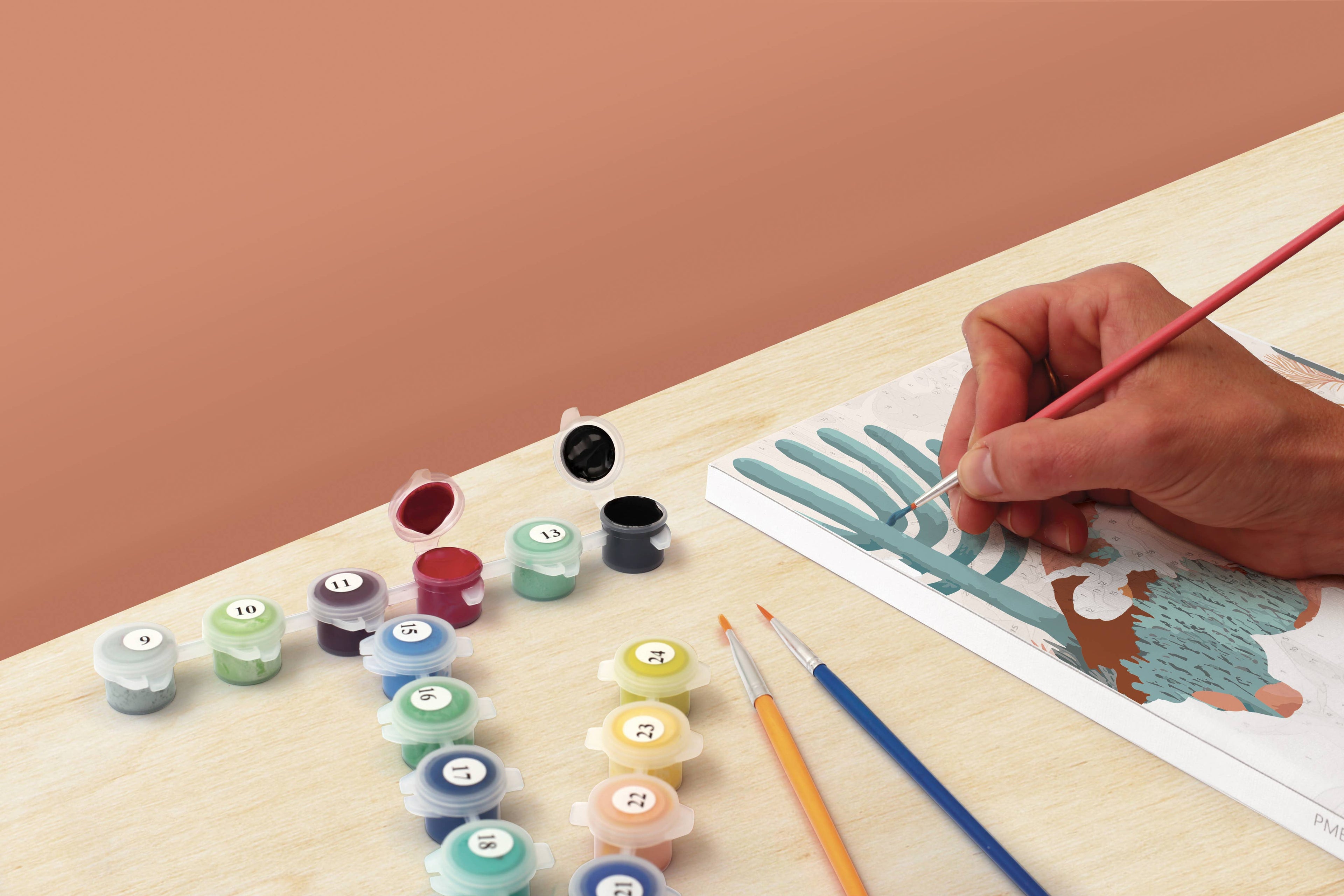 Σετ DIY ζωγραφικής με αριθμούς “Cactus” 20x30