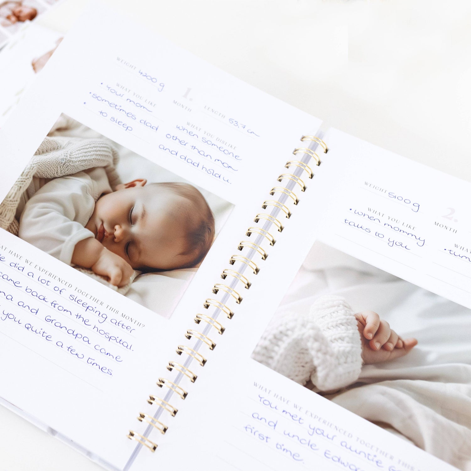 Baby Memory Book – Forest Fairytale