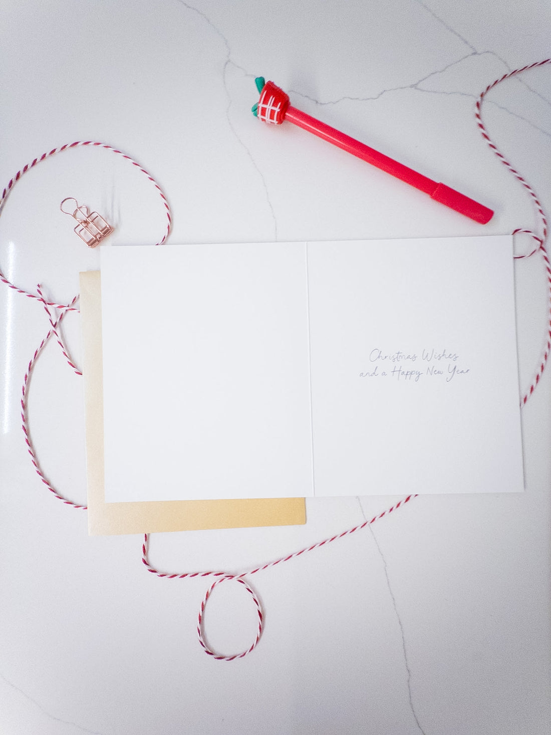 Κάρτα “Bursting Berry Ribbon Christmas”